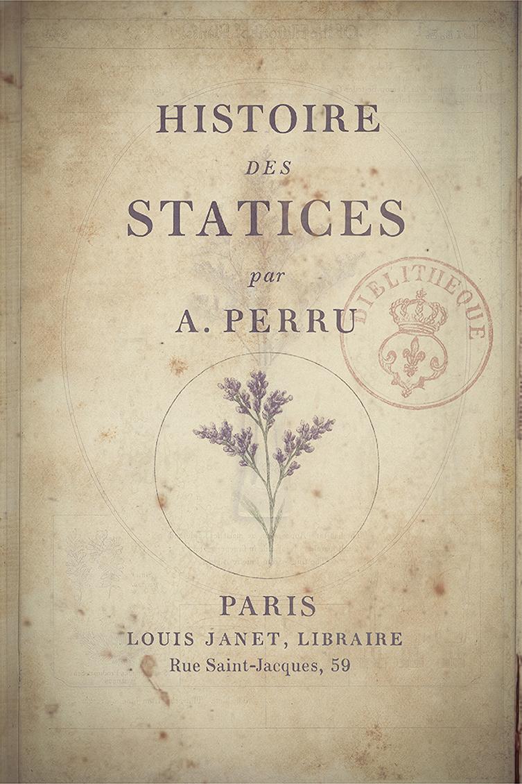 IMG_4416 2 복사.jpg 첨부 이미지