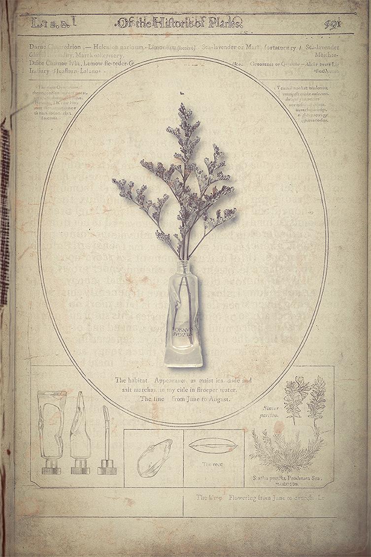 IMG_4417 2 복사.jpg 첨부 이미지