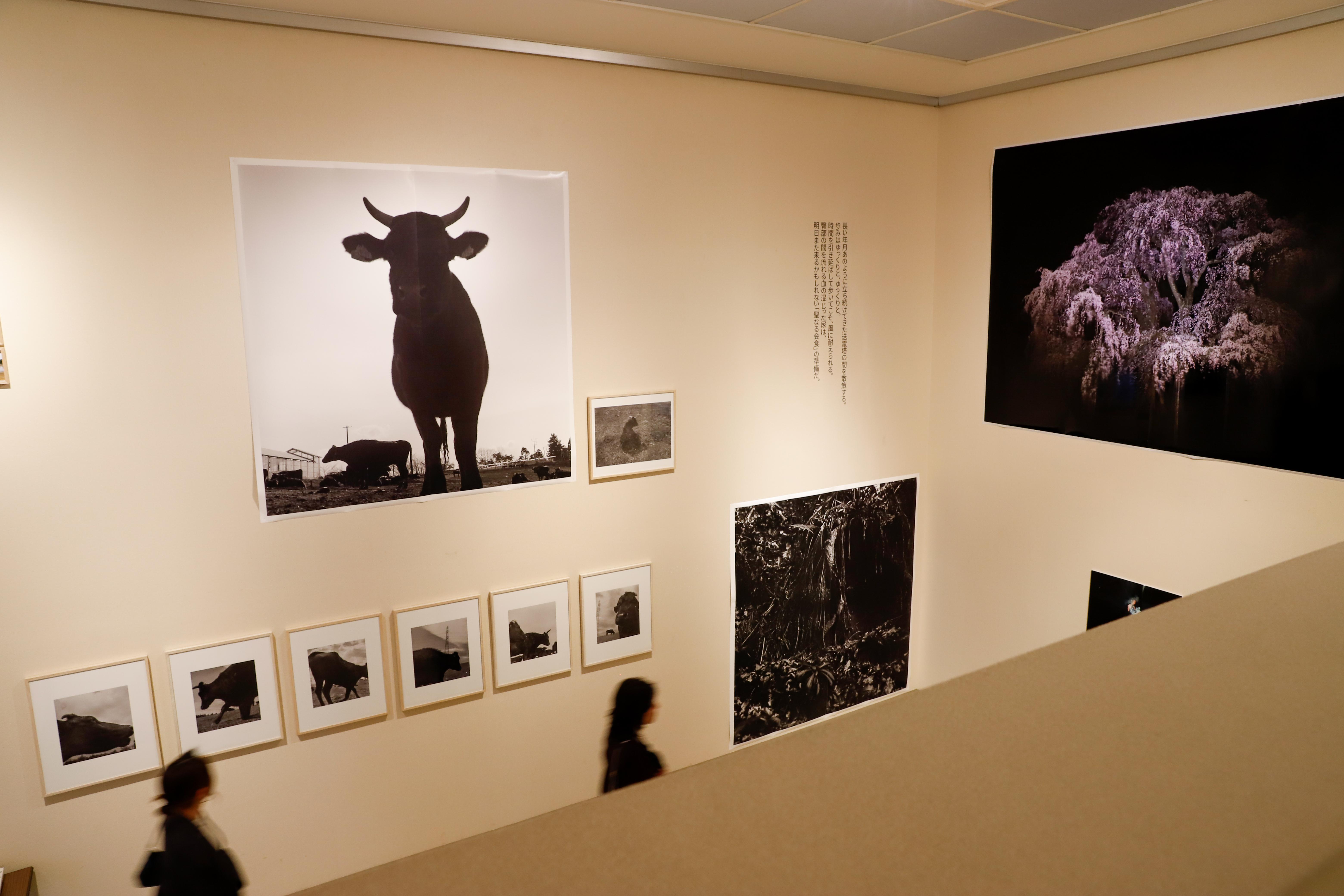 01. 전시장 전경.jpg 첨부 이미지